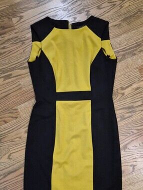 Black and Yellow Colorblock Sheath Dress